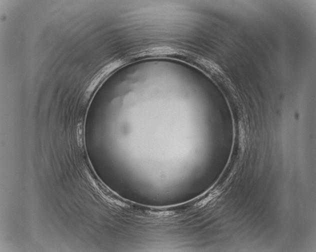 X0000052981225200507291543