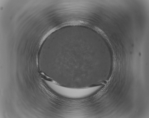 X0000052981226200507291543