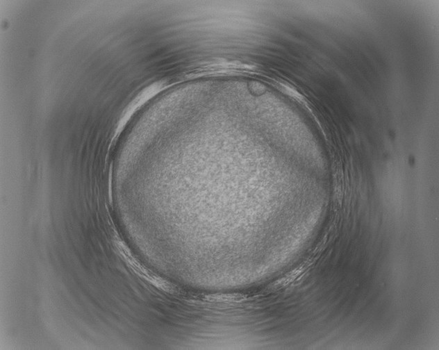 X0000052981227200507291543