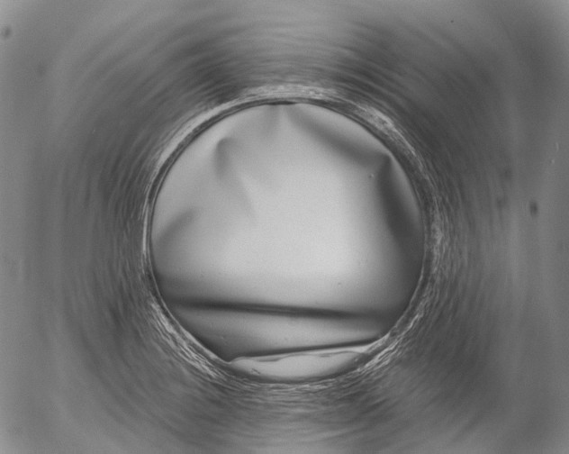 X0000052981228200507291543