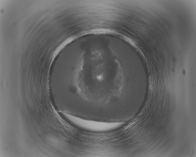 X0000052981229200507291543