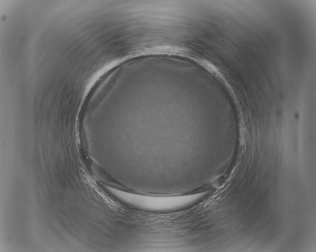 X0000052981230200507291543