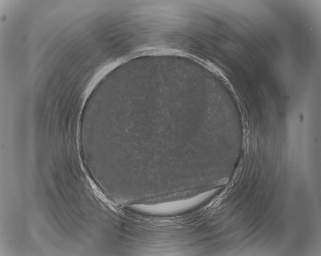 X0000052981231200507291543