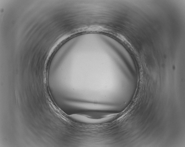 X0000052981232200507291543