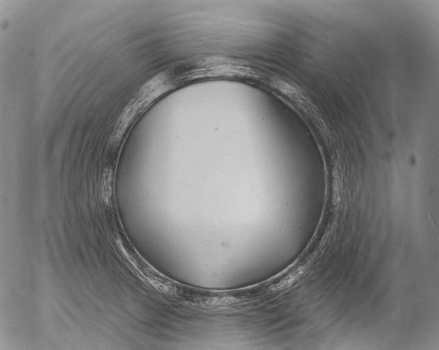 X0000052981233200507291543