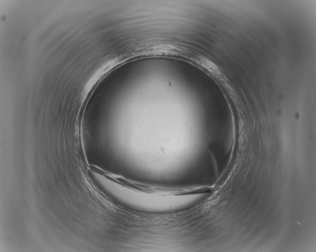 X0000052981234200507291543