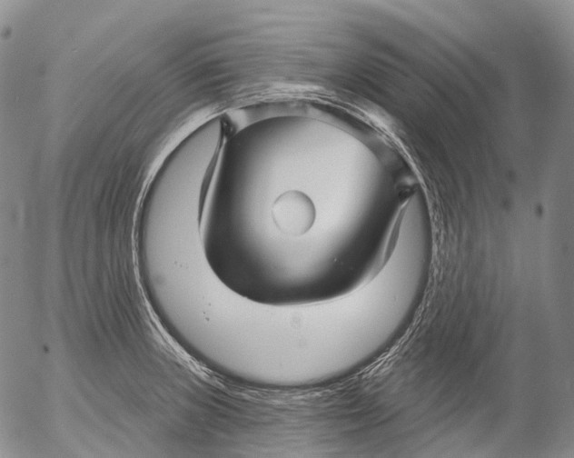 X0000052981235200507291543