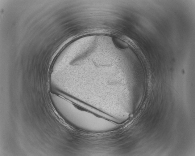 X0000052981236200507291543