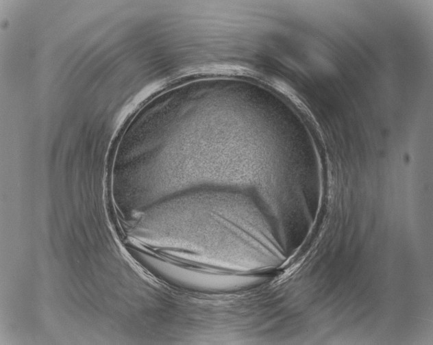 X0000052981237200507291543