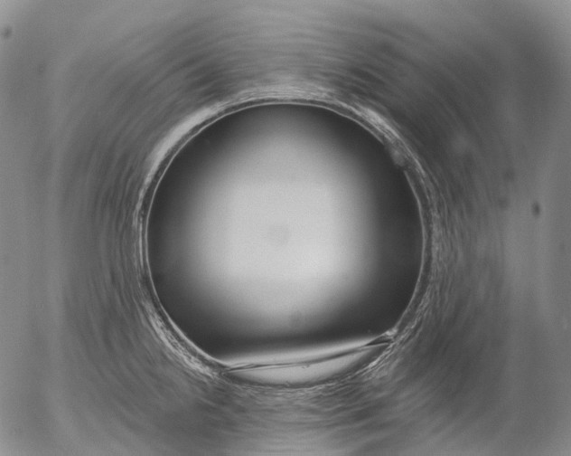 X0000052981238200507291543