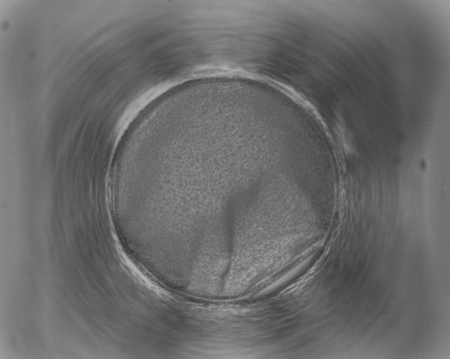 X0000052981239200507291543