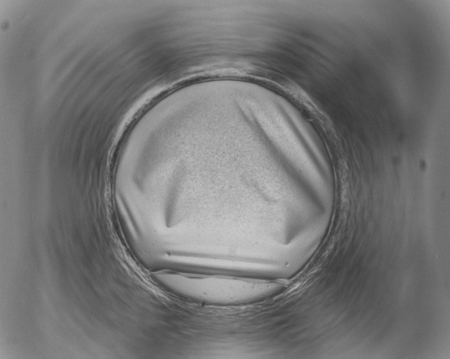 X0000052981240200507291543