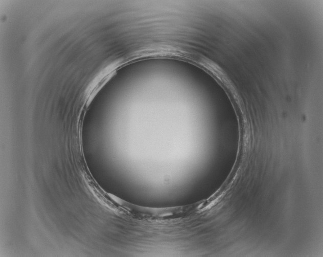 X0000052981242200507291543