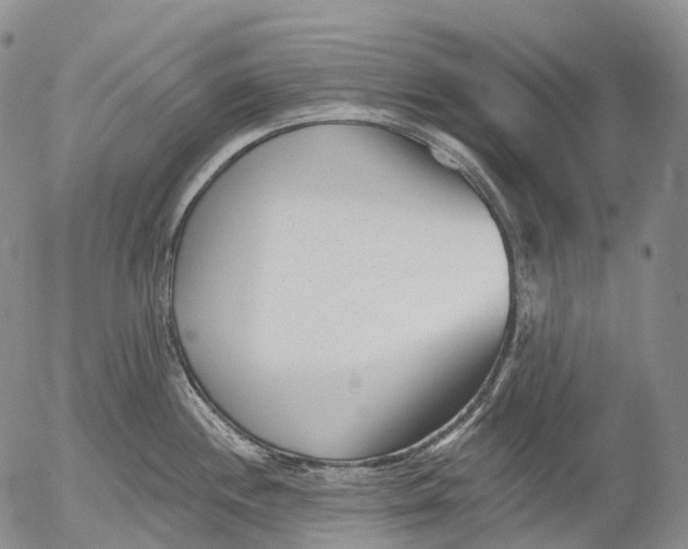 X0000052981244200507291543