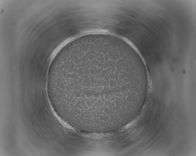 X0000052981245200507291543