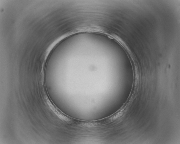 X0000052981246200507291543