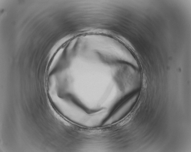 X0000052981247200507291543