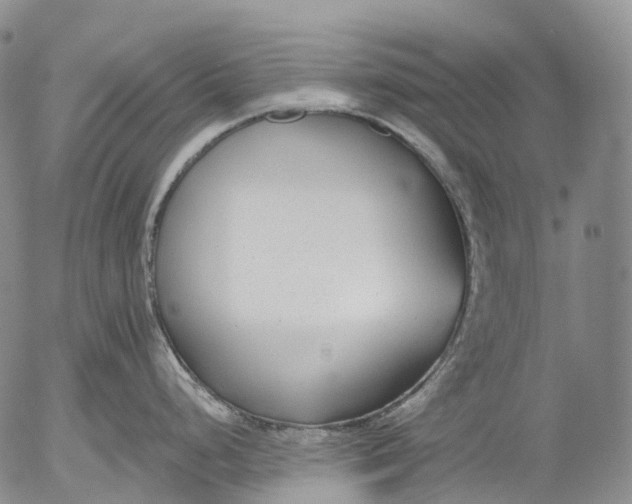 X0000052981248200507291543