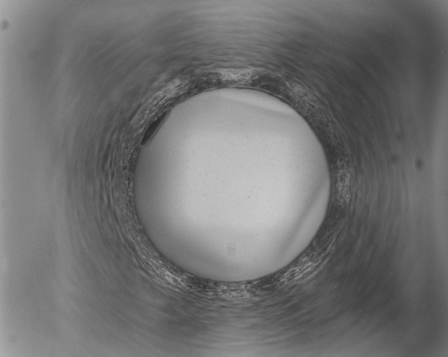 X0000052981249200507291543