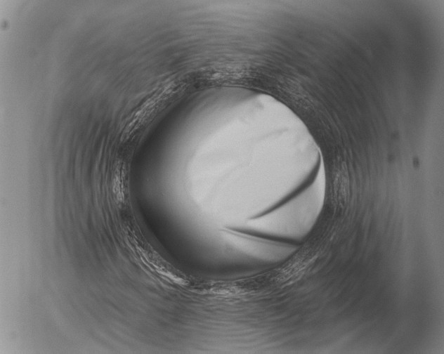 X0000052981250200507291543