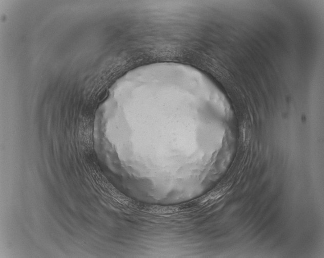 X0000052981251200507291543