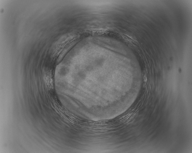 X0000052981252200507291543