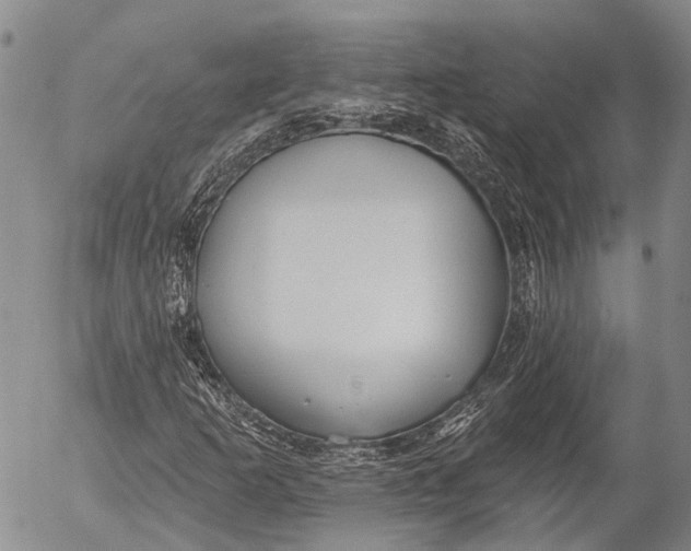 X0000052981253200507291543