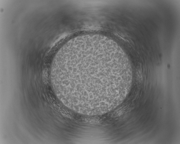 X0000052981254200507291543