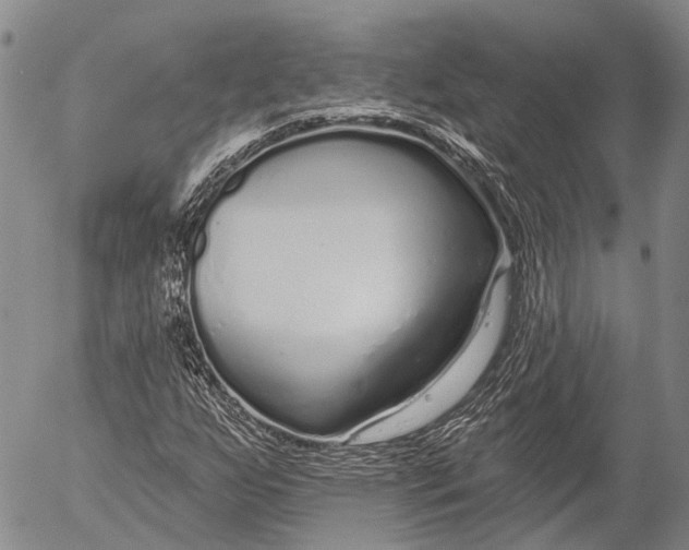 X0000052981255200507291543