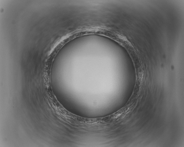 X0000052981256200507291543