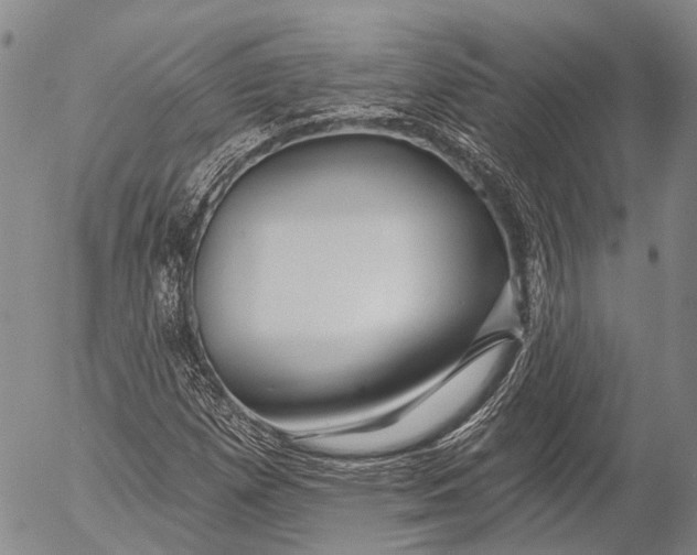 X0000052981257200507291543