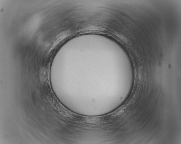 X0000052981258200507291543