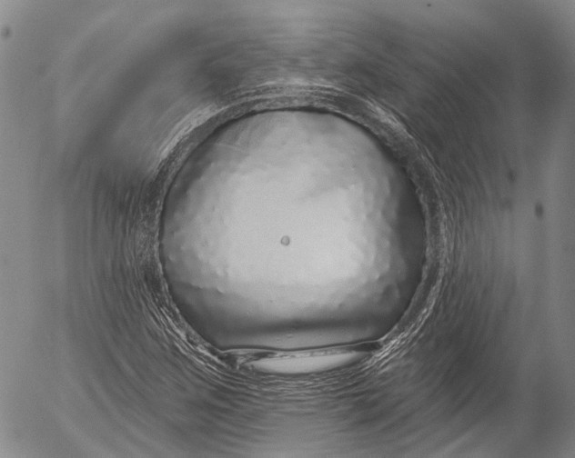 X0000052981259200507291543