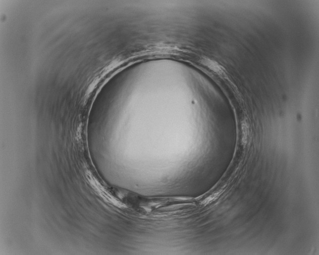 X0000052981260200507291543