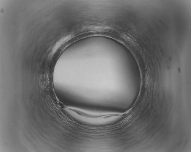 X0000052981261200507291543