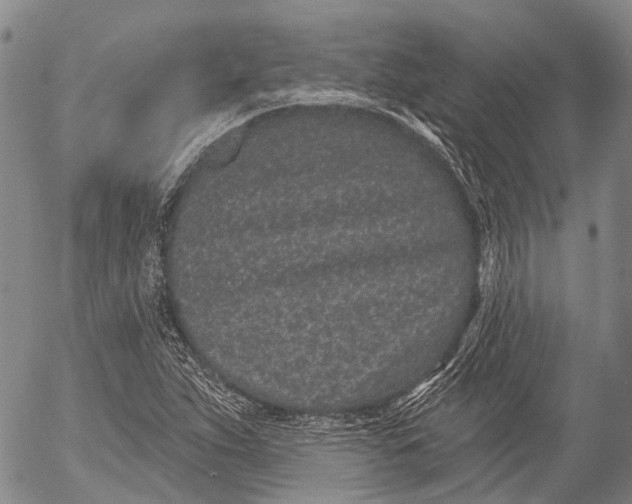 X0000052981263200507291542