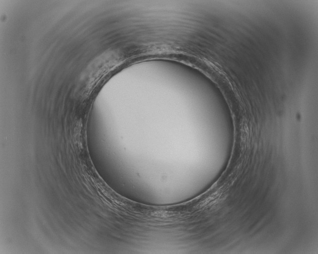 X0000052981265200507291542