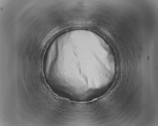 X0000052981267200507291542