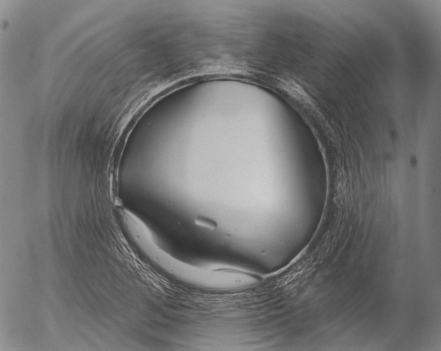 X0000052981268200507291542