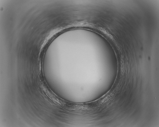 X0000052981270200507291542