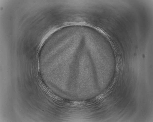 X0000052981271200507291542