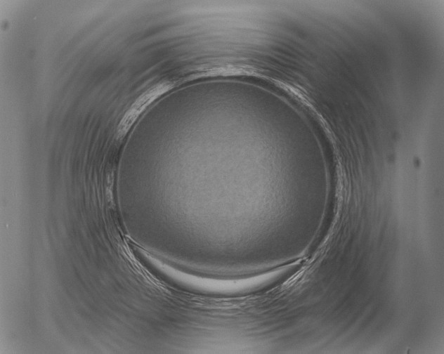 X0000052981273200507291542