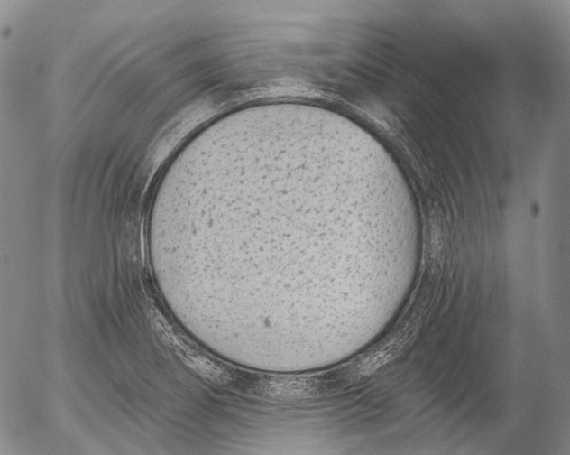 X0000052981274200507291542