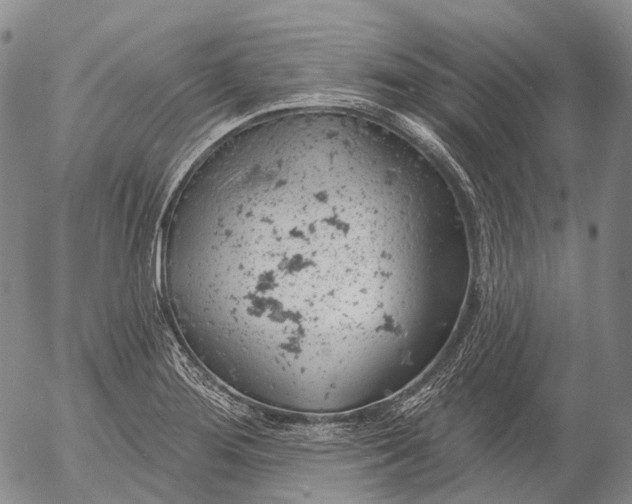 X0000052981276200507291542