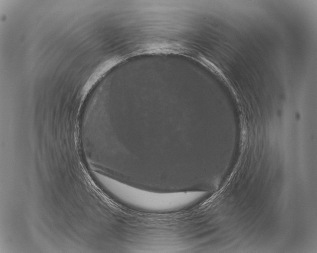 X0000052981277200507291542