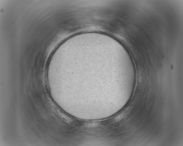 X0000052981278200507291542