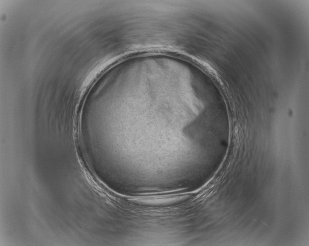 X0000052981279200507291542