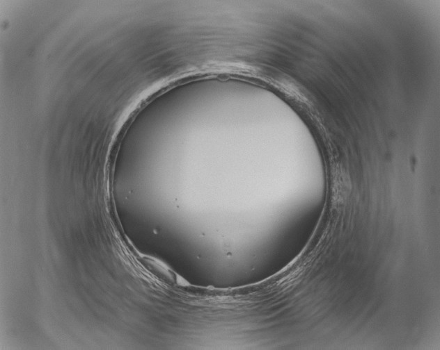 X0000052981280200507291542