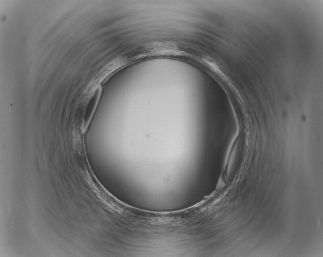 X0000052981281200507291542