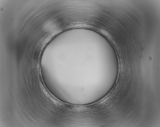 X0000052981282200507291542